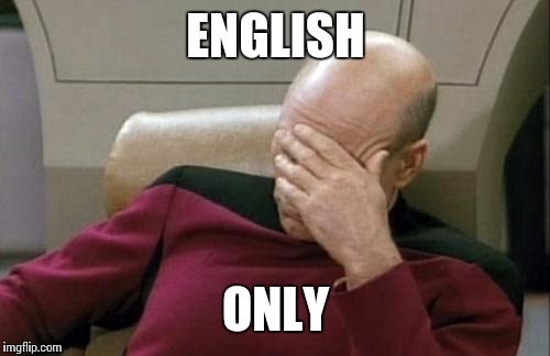 Captain Picard Facepalm Meme | ENGLISH ONLY | image tagged in memes,captain picard facepalm | made w/ Imgflip meme maker