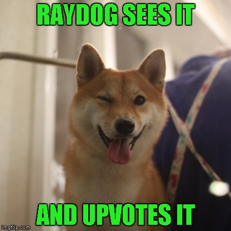 RAYDOG SEES IT AND UPVOTES IT | made w/ Imgflip meme maker