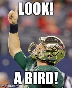 LOOK! A BIRD! | image tagged in football | made w/ Imgflip meme maker