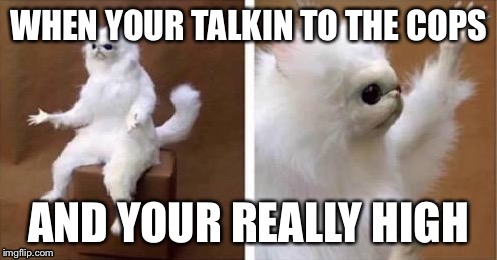 White monkey | WHEN YOUR TALKIN TO THE COPS; AND YOUR REALLY HIGH | image tagged in white monkey | made w/ Imgflip meme maker