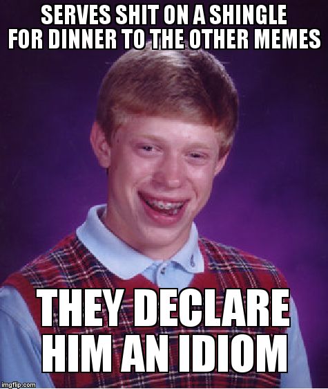 Bad Luck Brian Meme | SERVES SHIT ON A SHINGLE FOR DINNER TO THE OTHER MEMES; THEY DECLARE HIM AN IDIOM | image tagged in memes,bad luck brian | made w/ Imgflip meme maker