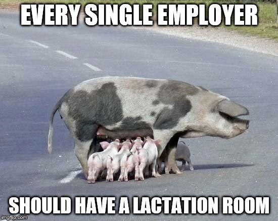 EVERY SINGLE EMPLOYER; SHOULD HAVE A LACTATION ROOM | image tagged in lactation | made w/ Imgflip meme maker