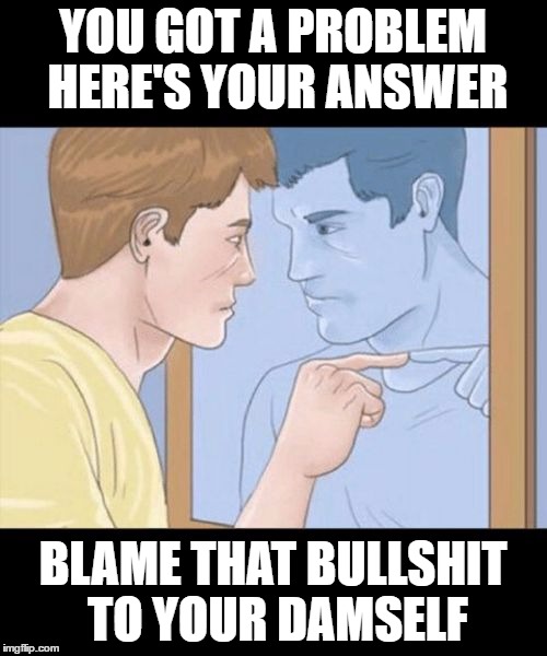 check yourself depressed guy pointing at himself mirror | YOU GOT A PROBLEM HERE'S YOUR ANSWER; BLAME THAT BULLSHIT TO YOUR DAMSELF | image tagged in check yourself depressed guy pointing at himself mirror | made w/ Imgflip meme maker