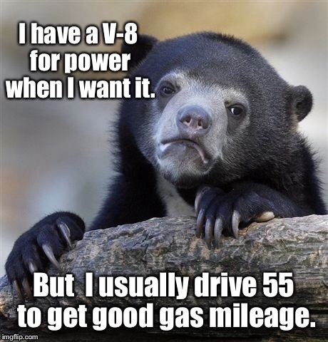 Confession driver bear | . | image tagged in memes,confession bear,drive slow,gas mileage,v-8,power | made w/ Imgflip meme maker