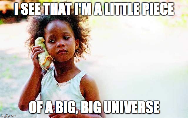 I SEE THAT I'M A LITTLE PIECE; OF A BIG, BIG UNIVERSE | image tagged in memes | made w/ Imgflip meme maker