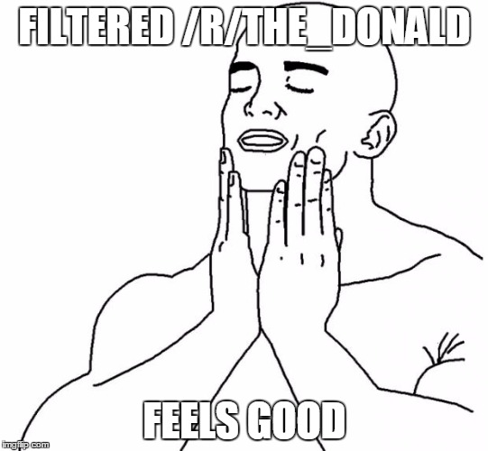 Feels Good Man | FILTERED /R/THE_DONALD; FEELS GOOD | image tagged in feels good man | made w/ Imgflip meme maker