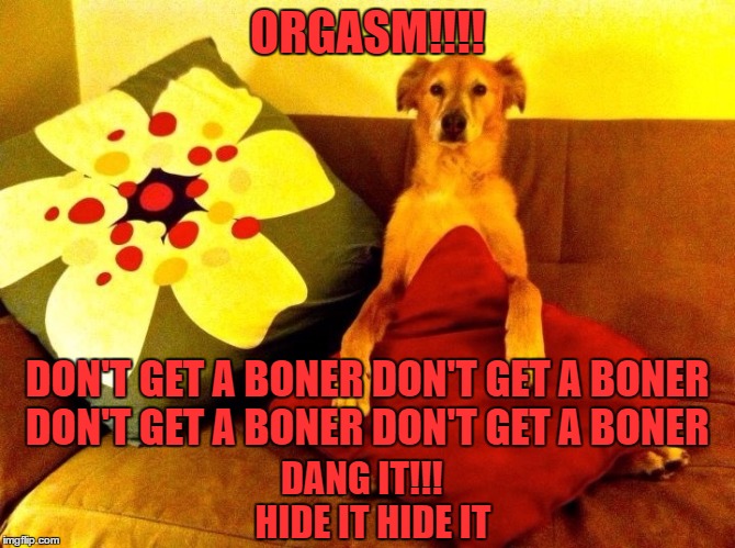 ORGASM!!!! DON'T GET A BONER DON'T GET A BONER DON'T GET A BONER DON'T GET A BONER DANG IT!!!   HIDE IT HIDE IT | made w/ Imgflip meme maker