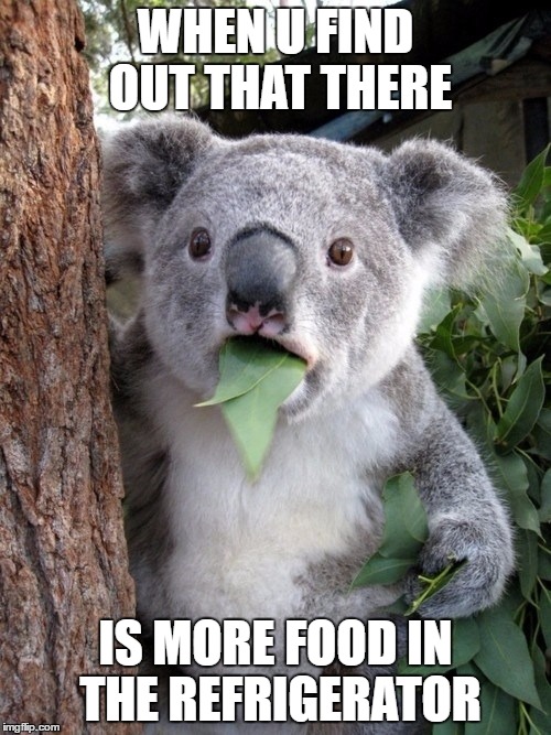 Surprised Koala | WHEN U FIND OUT THAT THERE; IS MORE FOOD IN THE REFRIGERATOR | image tagged in memes,surprised coala | made w/ Imgflip meme maker