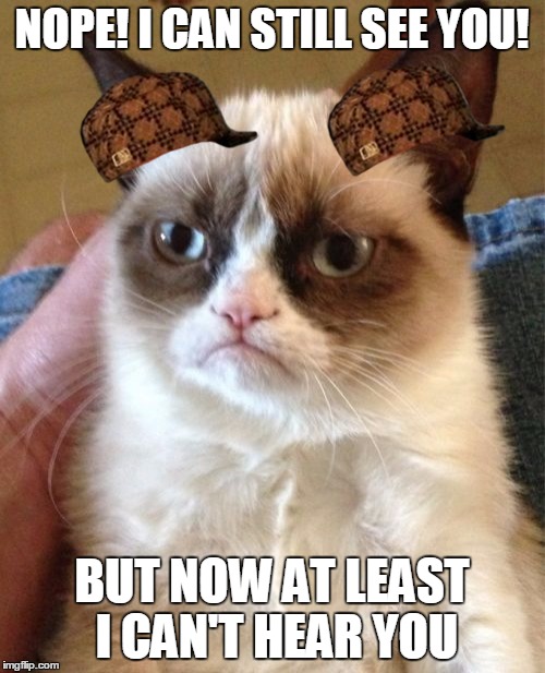 Grumpy Cat Meme | NOPE! I CAN STILL SEE YOU! BUT NOW AT LEAST I CAN'T HEAR YOU | image tagged in memes,grumpy cat,scumbag | made w/ Imgflip meme maker