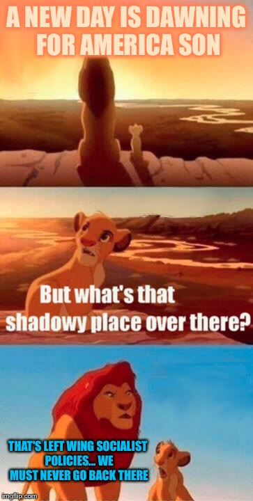 Simba Shadowy Place Meme | A NEW DAY IS DAWNING FOR AMERICA SON; THAT'S LEFT WING SOCIALIST POLICIES... WE MUST NEVER GO BACK THERE | image tagged in memes,simba shadowy place | made w/ Imgflip meme maker