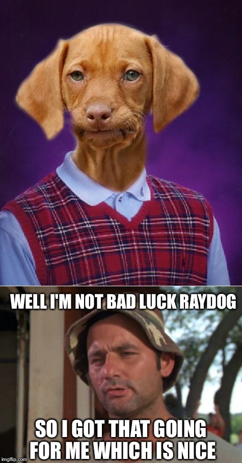 WELL I'M NOT BAD LUCK RAYDOG; SO I GOT THAT GOING FOR ME WHICH IS NICE | image tagged in bad luck raydog,bill murray,so i got that goin for me which is nice | made w/ Imgflip meme maker
