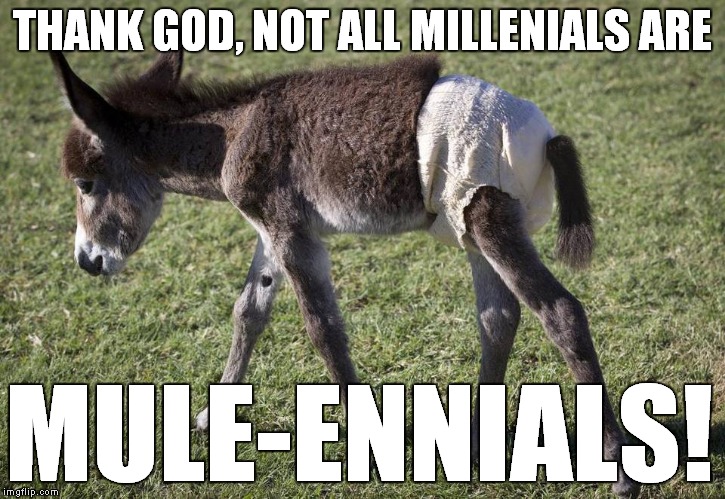 THANK GOD, NOT ALL MILLENIALS ARE; MULE-ENNIALS! | image tagged in mulennials | made w/ Imgflip meme maker