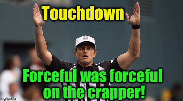 Touchdown Ref | Touchdown Forceful was forceful on the crapper! | image tagged in touchdown ref | made w/ Imgflip meme maker