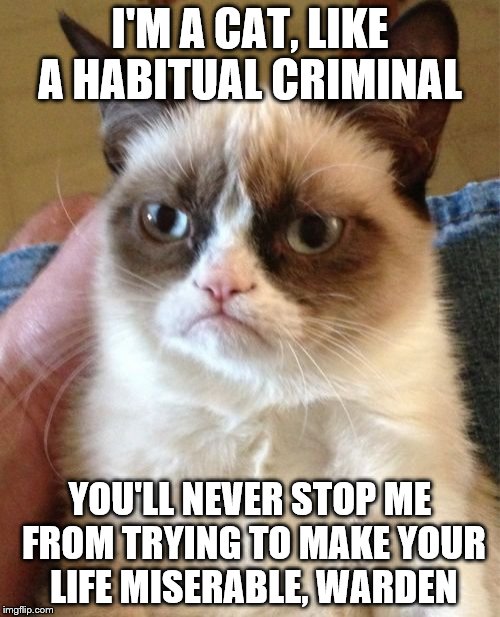 Grumpy Cat,,,,,,,,Offender! | I'M A CAT, LIKE A HABITUAL CRIMINAL; YOU'LL NEVER STOP ME FROM TRYING TO MAKE YOUR LIFE MISERABLE, WARDEN | image tagged in memes,grumpy cat | made w/ Imgflip meme maker