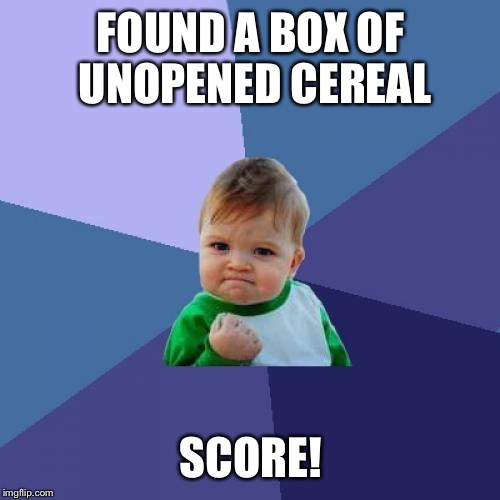 Success Kid Meme | FOUND A BOX OF UNOPENED CEREAL SCORE! | image tagged in memes,success kid | made w/ Imgflip meme maker