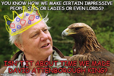 YOU KNOW HOW WE MAKE CERTAIN IMPRESSIVE PEOPLE SIRS OR LADIES OR EVEN LORDS? ISN'T IT ABOUT TIME WE MADE DAVID ATTENBOROUGH KING? | image tagged in attenborough | made w/ Imgflip meme maker