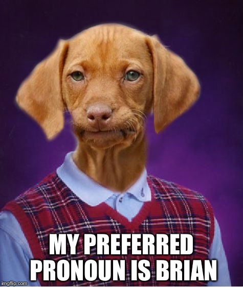 Bad Luck Raydog | MY PREFERRED PRONOUN IS BRIAN | image tagged in bad luck raydog | made w/ Imgflip meme maker