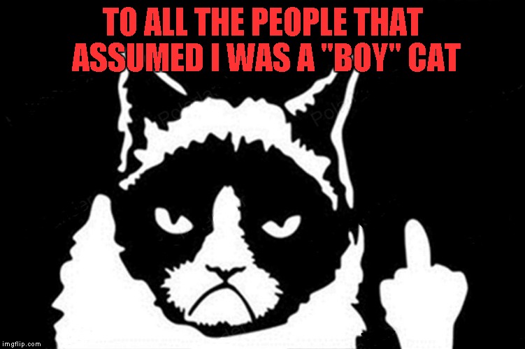 I never knew Grumpy Cat was a girl until recently... | TO ALL THE PEOPLE THAT ASSUMED I WAS A "BOY" CAT | image tagged in grumpy cat flipping the bird,memes,grumpy cat,funny,cat | made w/ Imgflip meme maker