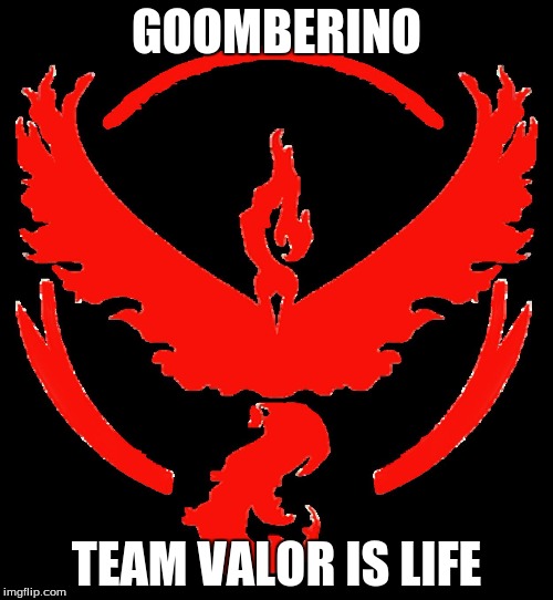 Team Valor | GOOMBERINO; TEAM VALOR IS LIFE | made w/ Imgflip meme maker