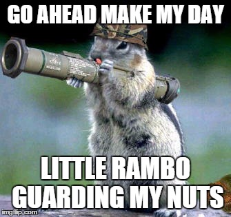 Bazooka Squirrel Meme | GO AHEAD MAKE MY DAY; LITTLE RAMBO GUARDING MY NUTS | image tagged in memes,bazooka squirrel | made w/ Imgflip meme maker