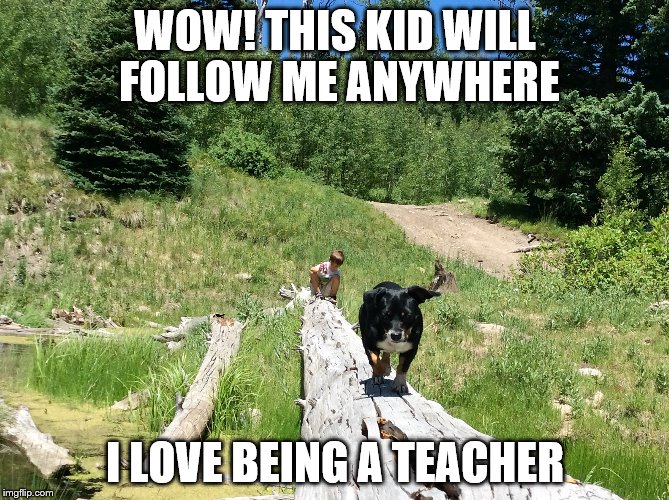 teach positive | WOW! THIS KID WILL FOLLOW ME ANYWHERE; I LOVE BEING A TEACHER | image tagged in puppy love | made w/ Imgflip meme maker