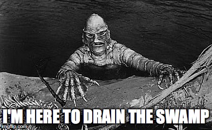 I'M HERE TO DRAIN THE SWAMP | image tagged in donald trump,drain the swamp | made w/ Imgflip meme maker