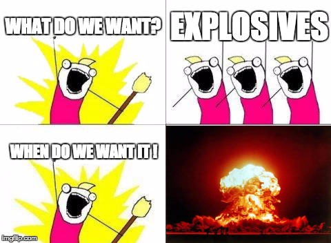 What Do We Want | WHAT DO WE WANT? EXPLOSIVES; WHEN DO WE WANT IT ! | image tagged in memes,what do we want | made w/ Imgflip meme maker