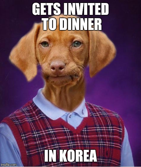 Delicious Dashound | GETS INVITED TO DINNER; IN KOREA | image tagged in bad luck raydog | made w/ Imgflip meme maker