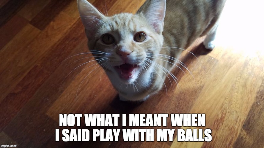 NOT WHAT I MEANT WHEN I SAID PLAY WITH MY BALLS | image tagged in don't take my balls | made w/ Imgflip meme maker