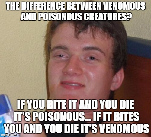 10 Guy Meme | THE DIFFERENCE BETWEEN VENOMOUS AND POISONOUS CREATURES? IF YOU BITE IT AND YOU DIE IT'S POISONOUS... IF IT BITES YOU AND YOU DIE IT'S VENOMOUS | image tagged in memes,10 guy | made w/ Imgflip meme maker