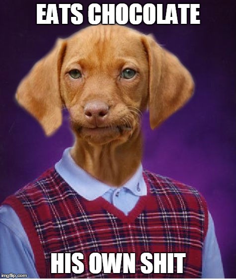 Bad Luck Raydog | EATS CHOCOLATE; HIS OWN SHIT | image tagged in bad luck raydog | made w/ Imgflip meme maker
