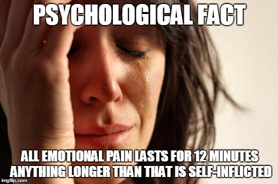 First World Problems Meme | PSYCHOLOGICAL FACT; ALL EMOTIONAL PAIN LASTS FOR 12 MINUTES ANYTHING LONGER THAN THAT IS SELF-INFLICTED | image tagged in memes,first world problems | made w/ Imgflip meme maker