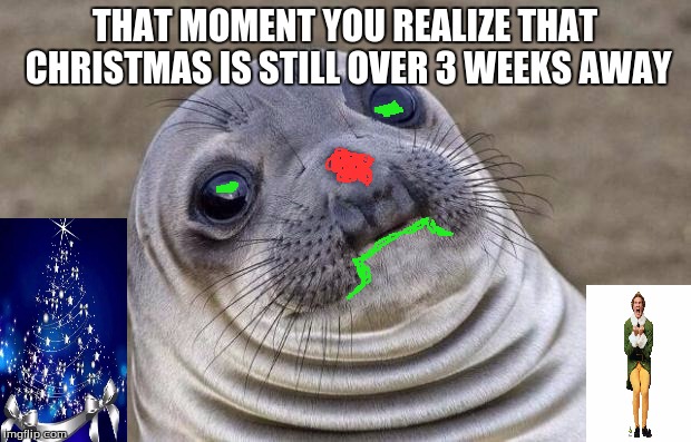 Too Ready for Christmas Sealion | THAT MOMENT YOU REALIZE THAT CHRISTMAS IS STILL OVER 3 WEEKS AWAY | image tagged in memes,awkward moment sealion,christmas | made w/ Imgflip meme maker