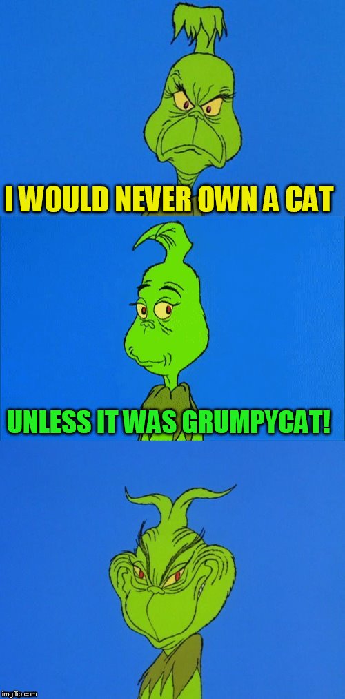 The Grinch Christmas | I WOULD NEVER OWN A CAT UNLESS IT WAS GRUMPYCAT! | image tagged in the grinch christmas | made w/ Imgflip meme maker