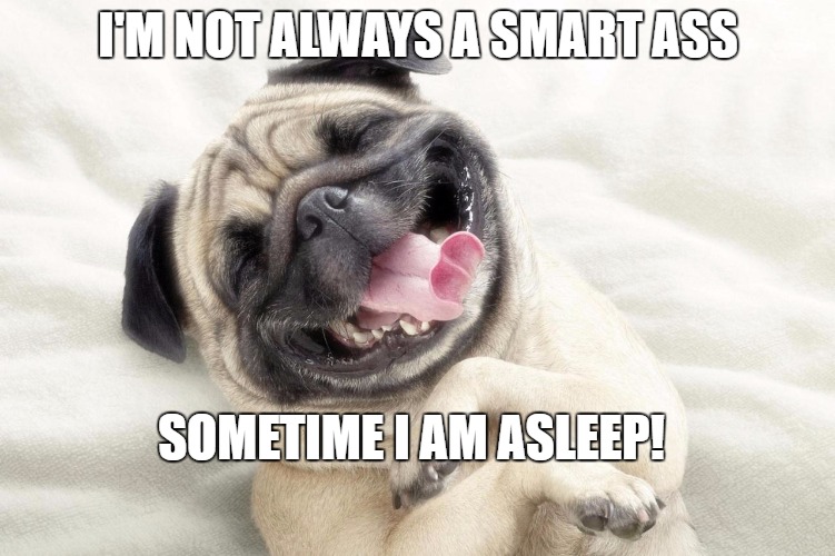 Happy Dog | I'M NOT ALWAYS A SMART ASS; SOMETIME I AM ASLEEP! | image tagged in happy dog | made w/ Imgflip meme maker