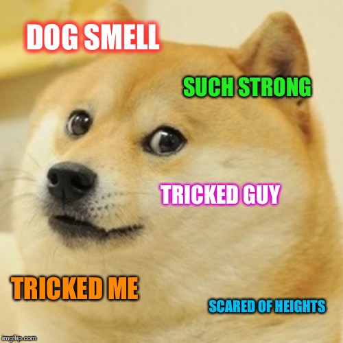 Doge Meme | DOG SMELL SUCH STRONG TRICKED GUY TRICKED ME SCARED OF HEIGHTS | image tagged in memes,doge | made w/ Imgflip meme maker