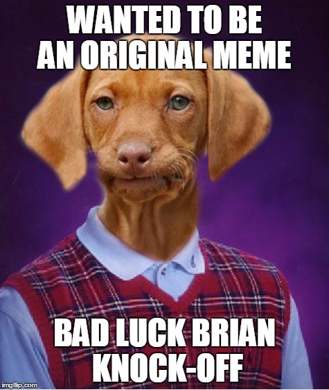 Bad Luck Raydog | WANTED TO BE AN ORIGINAL MEME; BAD LUCK BRIAN KNOCK-OFF | image tagged in bad luck raydog | made w/ Imgflip meme maker