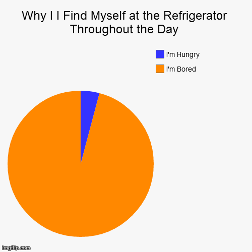 image tagged in funny,pie charts | made w/ Imgflip chart maker