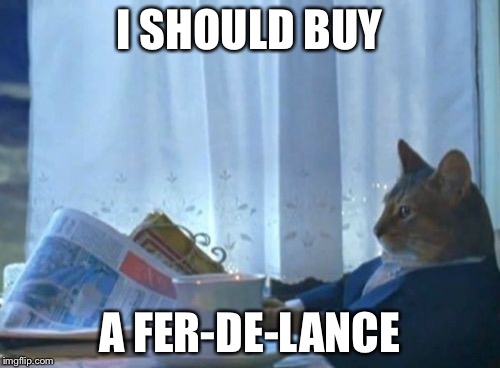 I Should Buy A Boat Cat Meme | I SHOULD BUY; A FER-DE-LANCE | image tagged in memes,i should buy a boat cat | made w/ Imgflip meme maker