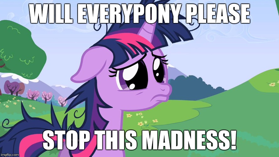 crying twilight | WILL EVERYPONY PLEASE STOP THIS MADNESS! | image tagged in crying twilight | made w/ Imgflip meme maker