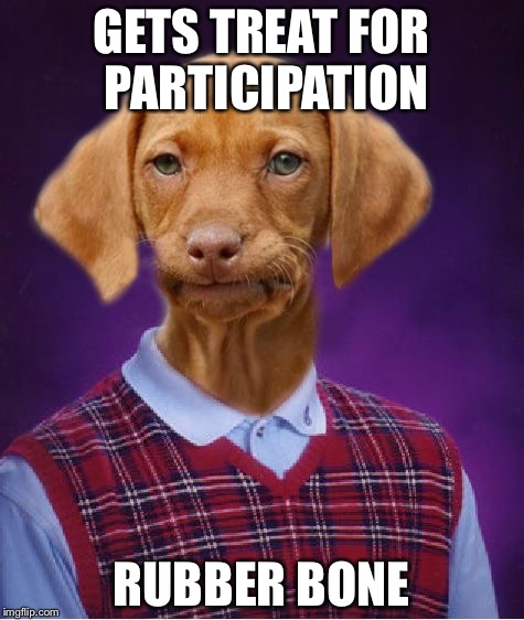 GETS TREAT FOR PARTICIPATION RUBBER BONE | made w/ Imgflip meme maker