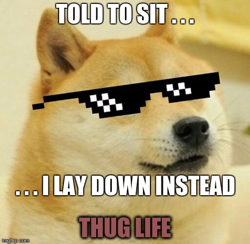 Thug Life Doge | TOLD TO SIT . . . . . . I LAY DOWN INSTEAD; THUG LIFE | image tagged in thug life,doge | made w/ Imgflip meme maker