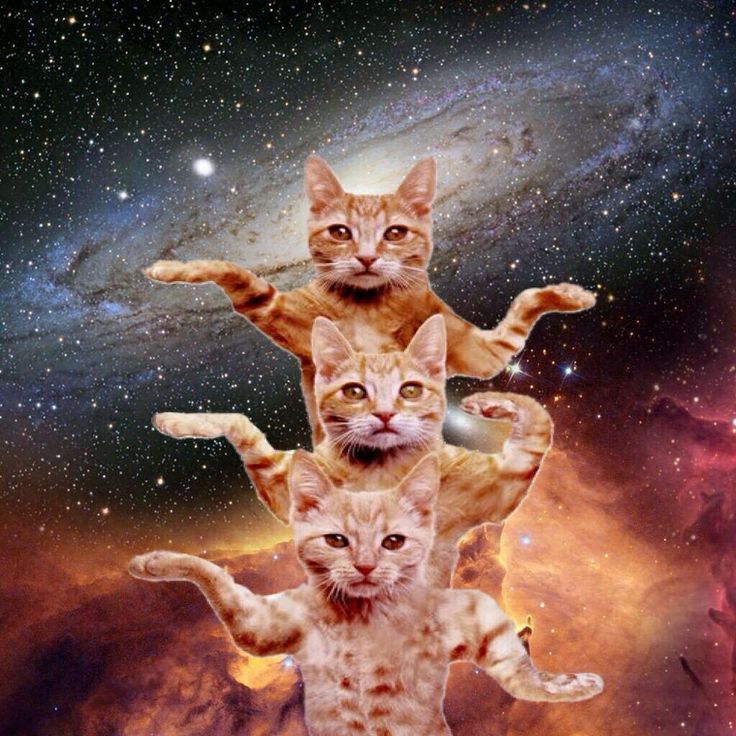 High Quality Cats in Space Blank Meme Template