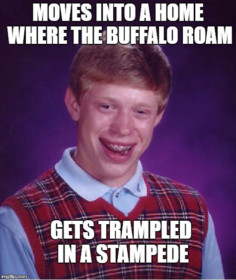 Bad Luck Brian Meme | MOVES INTO A HOME WHERE THE BUFFALO ROAM GETS TRAMPLED IN A STAMPEDE | image tagged in memes,bad luck brian | made w/ Imgflip meme maker