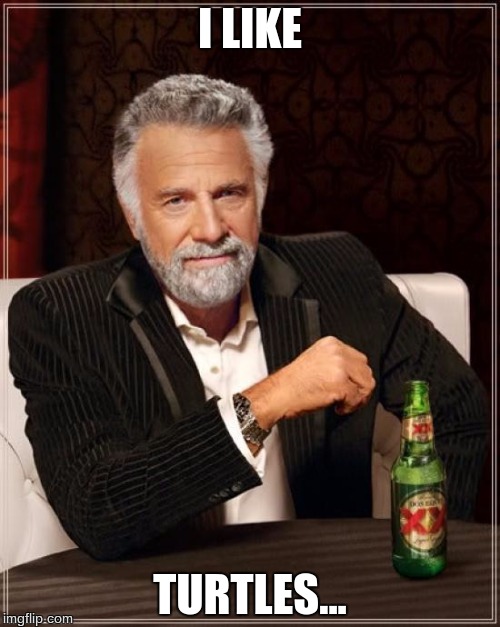 The Most Interesting Man In The World | I LIKE; TURTLES... | image tagged in memes,the most interesting man in the world | made w/ Imgflip meme maker