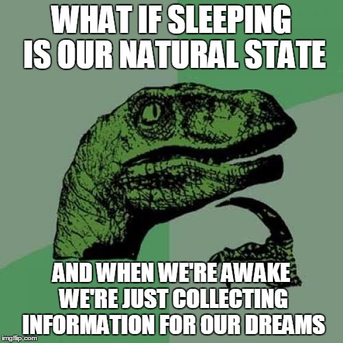 Philosoraptor | WHAT IF SLEEPING IS OUR NATURAL STATE; AND WHEN WE'RE AWAKE WE'RE JUST COLLECTING INFORMATION FOR OUR DREAMS | image tagged in memes,philosoraptor | made w/ Imgflip meme maker