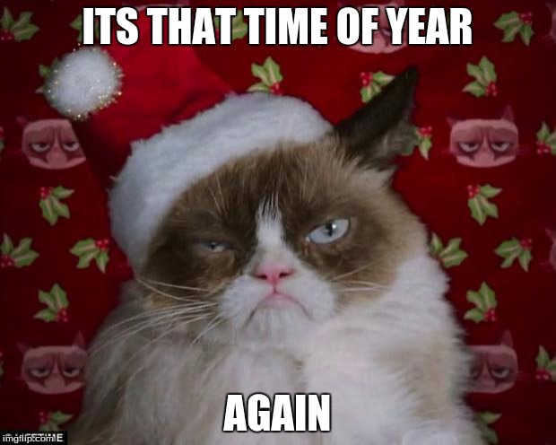 That time of year is back! | ITS THAT TIME OF YEAR; AGAIN | image tagged in grumpy cat christmas,christmas | made w/ Imgflip meme maker