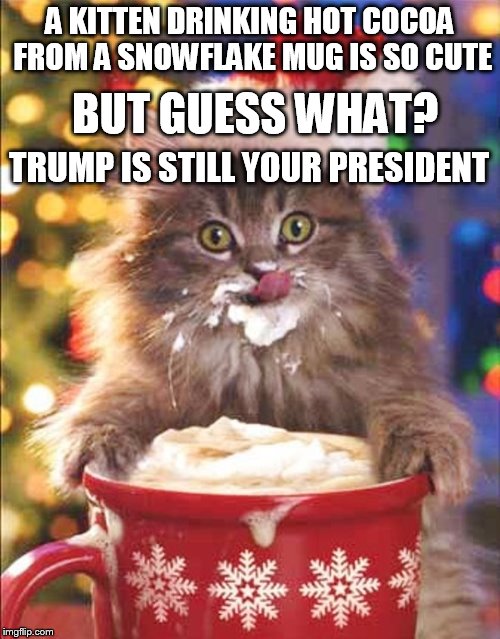 A KITTEN DRINKING HOT COCOA FROM A SNOWFLAKE MUG IS SO CUTE; BUT GUESS WHAT? TRUMP IS STILL YOUR PRESIDENT | image tagged in trump 2016,snowflake,potus | made w/ Imgflip meme maker