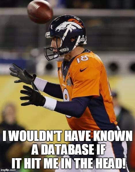 Professional Football Guy | I WOULDN'T HAVE KNOWN A DATABASE IF IT HIT ME IN THE HEAD! | image tagged in professional football guy | made w/ Imgflip meme maker