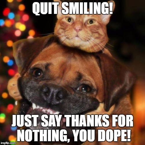 dogs an cats | QUIT SMILING! JUST SAY THANKS FOR NOTHING, YOU DOPE! | image tagged in dogs an cats | made w/ Imgflip meme maker